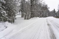 Snow Covered Road Through a Canadian Forest