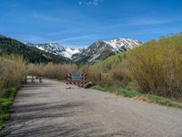 an open gate sits behind a warning sign on the side of the road that's blocked off