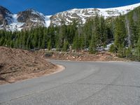 the curved road is near an evergreen mountain side area with rocks and trees in winter