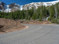 the curved road is near an evergreen mountain side area with rocks and trees in winter