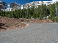 the curved road is near an evergreen mountain side area with rocks and trees in winter