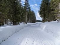 a cross country ski path in the woods with snow on the ground and footprints on the snowy ground