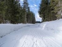 a cross country ski path in the woods with snow on the ground and footprints on the snowy ground