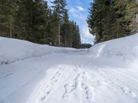 a cross country ski path in the woods with snow on the ground and footprints on the snowy ground