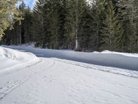 a person riding skis down a snow covered slope near trees in the distance s