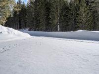 a person riding skis down a snow covered slope near trees in the distance s