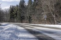 Snow Covered Road in Forest, Canadian Landscape