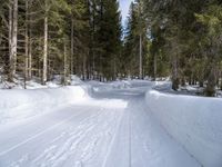 the road is covered by snow with tracks of skis on it and trees to the side