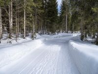 the road is covered by snow with tracks of skis on it and trees to the side