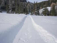 Snow Covered Road in Germany: A POV Experience Through the Mountains