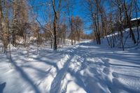 snow covered ground and the path to a cottage in the woods is seen through trees