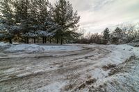 a road with snow on the sides and trees along the side in the foreground