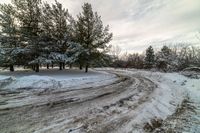 a road with snow on the sides and trees along the side in the foreground