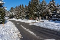 a snow covered road next to pine trees on a sunny day in wintertime, with a crosswalk leading through the middle