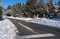 a snow covered road next to pine trees on a sunny day in wintertime, with a crosswalk leading through the middle