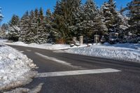 a snow covered road next to pine trees on a sunny day in wintertime, with a crosswalk leading through the middle