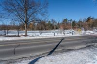 an empty street surrounded by snow and trees on a clear day in winter day with blue sky