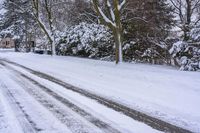 Snow-Covered Road Among Trees in Canada