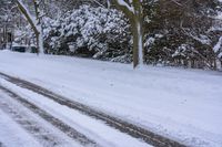 Snow-Covered Road Among Trees in Canada