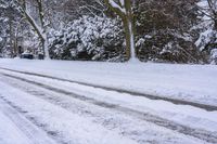 Snow-Covered Road Among Trees in Canada