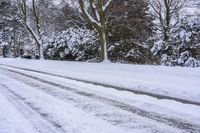 Snow-Covered Road Among Trees in Canada