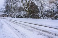 Snow-Covered Road Among Trees in Canada