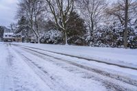 Snow-Covered Road Among Trees in Canada