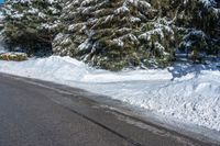 the street is filled with snow by some evergreen trees and shrubs on a sunny day