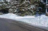 the street is filled with snow by some evergreen trees and shrubs on a sunny day