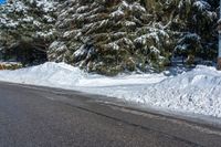 the street is filled with snow by some evergreen trees and shrubs on a sunny day