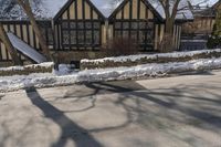 Snow Covered Roads and Trees in Suburban Toronto 002