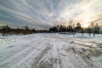 a snow covered rural road is empty during the day time sunshine or sunset, with trees on either side