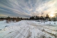 a snow covered rural road is empty during the day time sunshine or sunset, with trees on either side