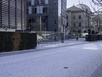 the sidewalk has snow in front of tall buildings and bushes covered in snow in front of a fence