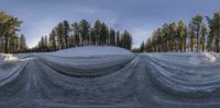 a large blanket is placed on top of a snow - covered slope near trees and snow