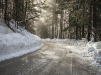 a snow covered street next to pine trees and a pile of snow on the side