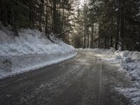 a snow covered street next to pine trees and a pile of snow on the side