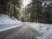 a snow covered street next to pine trees and a pile of snow on the side