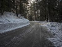 a snow covered street next to pine trees and a pile of snow on the side