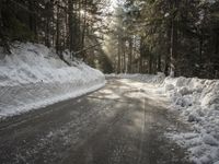a snow covered street next to pine trees and a pile of snow on the side