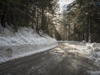 a snow covered street next to pine trees and a pile of snow on the side