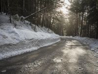 a snow covered street next to pine trees and a pile of snow on the side