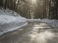 a snow covered street next to pine trees and a pile of snow on the side