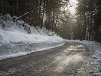 a snow covered street next to pine trees and a pile of snow on the side