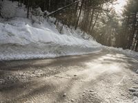 a snow covered street next to pine trees and a pile of snow on the side