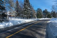 a street that has a yellow line on it next to trees and snow covered sidewalks