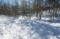 the trail is snow covered in footprints in the forest or mountain top sloped area