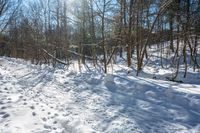 the trail is snow covered in footprints in the forest or mountain top sloped area