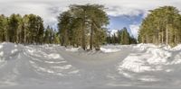 skiers ride down the snow covered trail through a wooded area on their skis