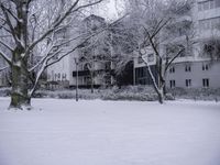 trees and bushes covered with snow next to a building surrounded by other buildings and trees